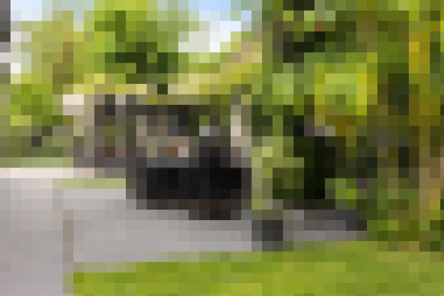 Hôf 15 Wirdum thumbnail 11