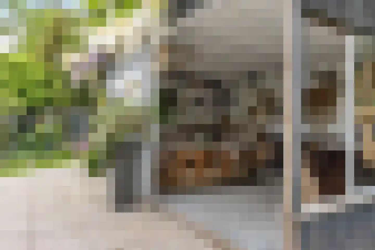 Hôf 15 Wirdum thumbnail 12