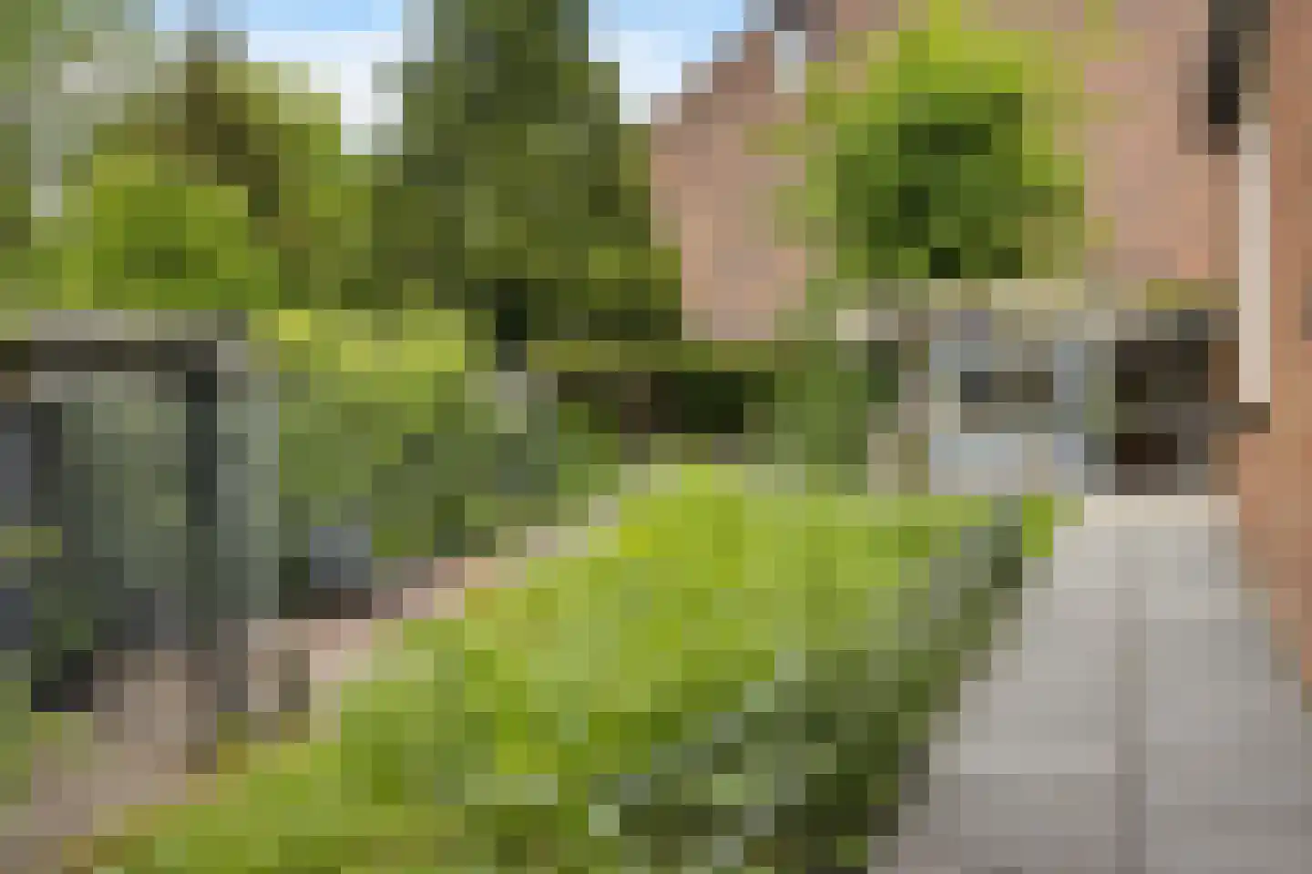Hôf 15 Wirdum thumbnail 14