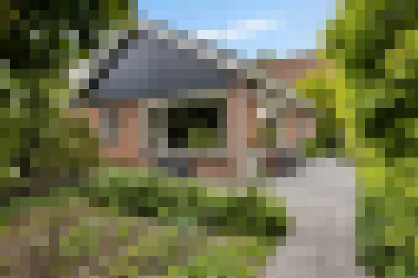 Hôf 15 Wirdum thumbnail 16
