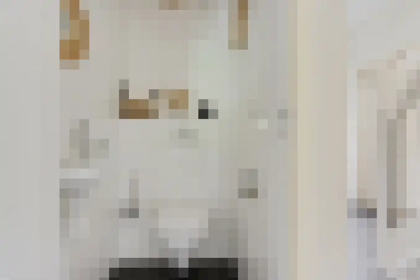 Hôf 15 Wirdum thumbnail 17