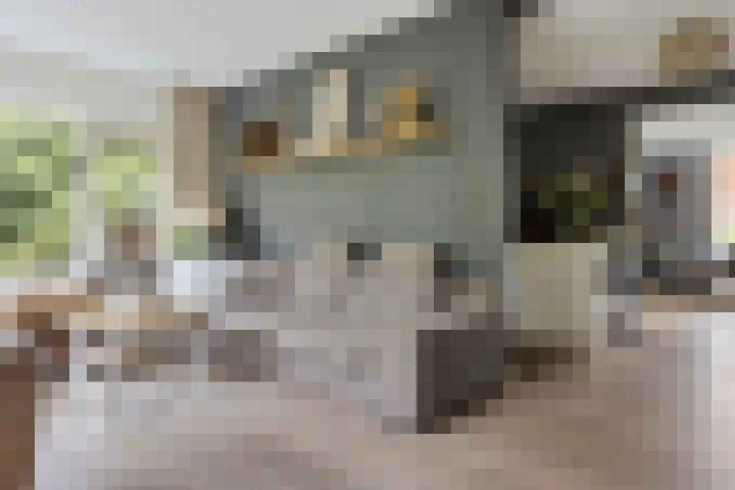 Hôf 15 Wirdum thumbnail 18