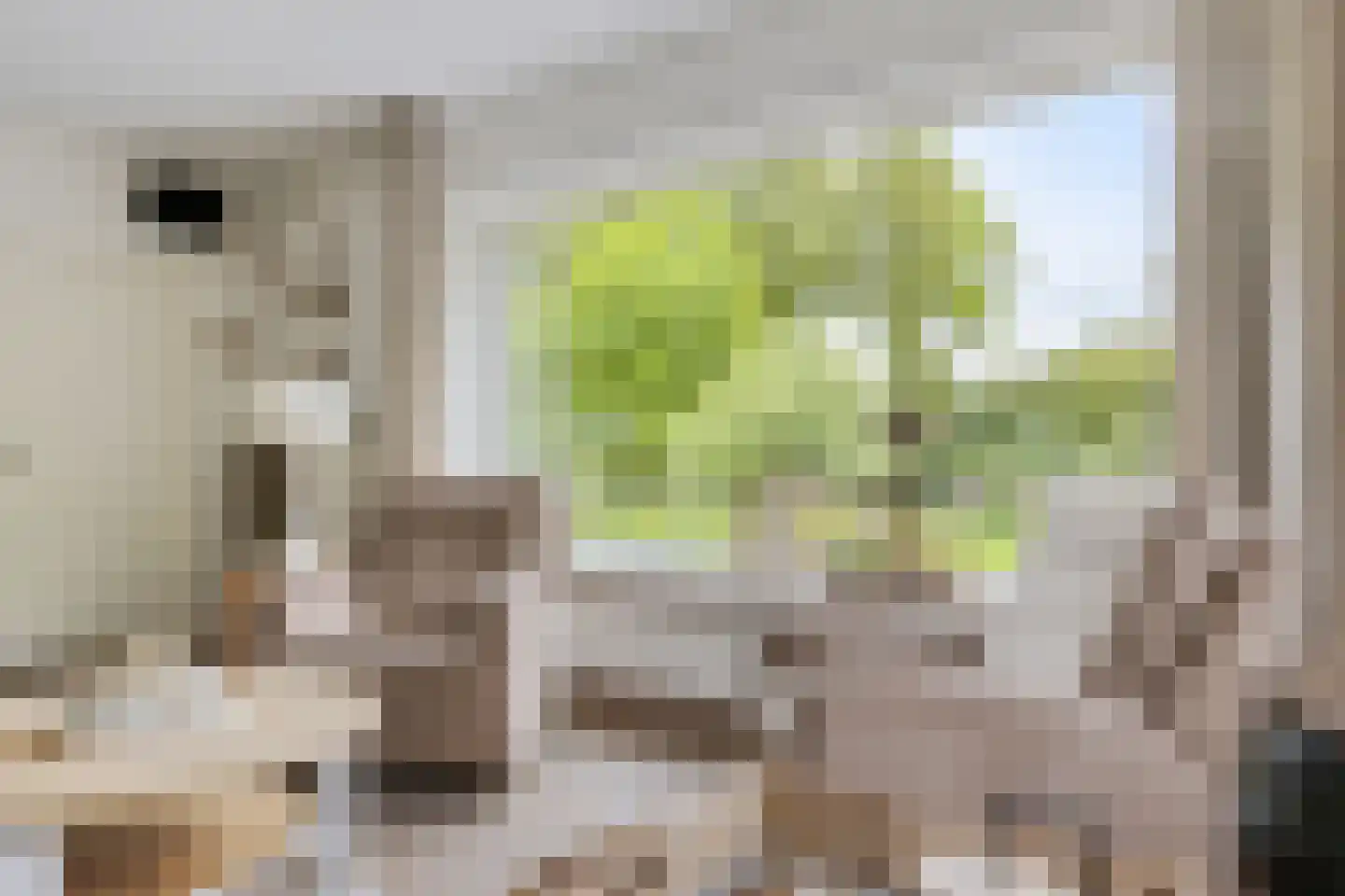 Hôf 15 Wirdum thumbnail 19