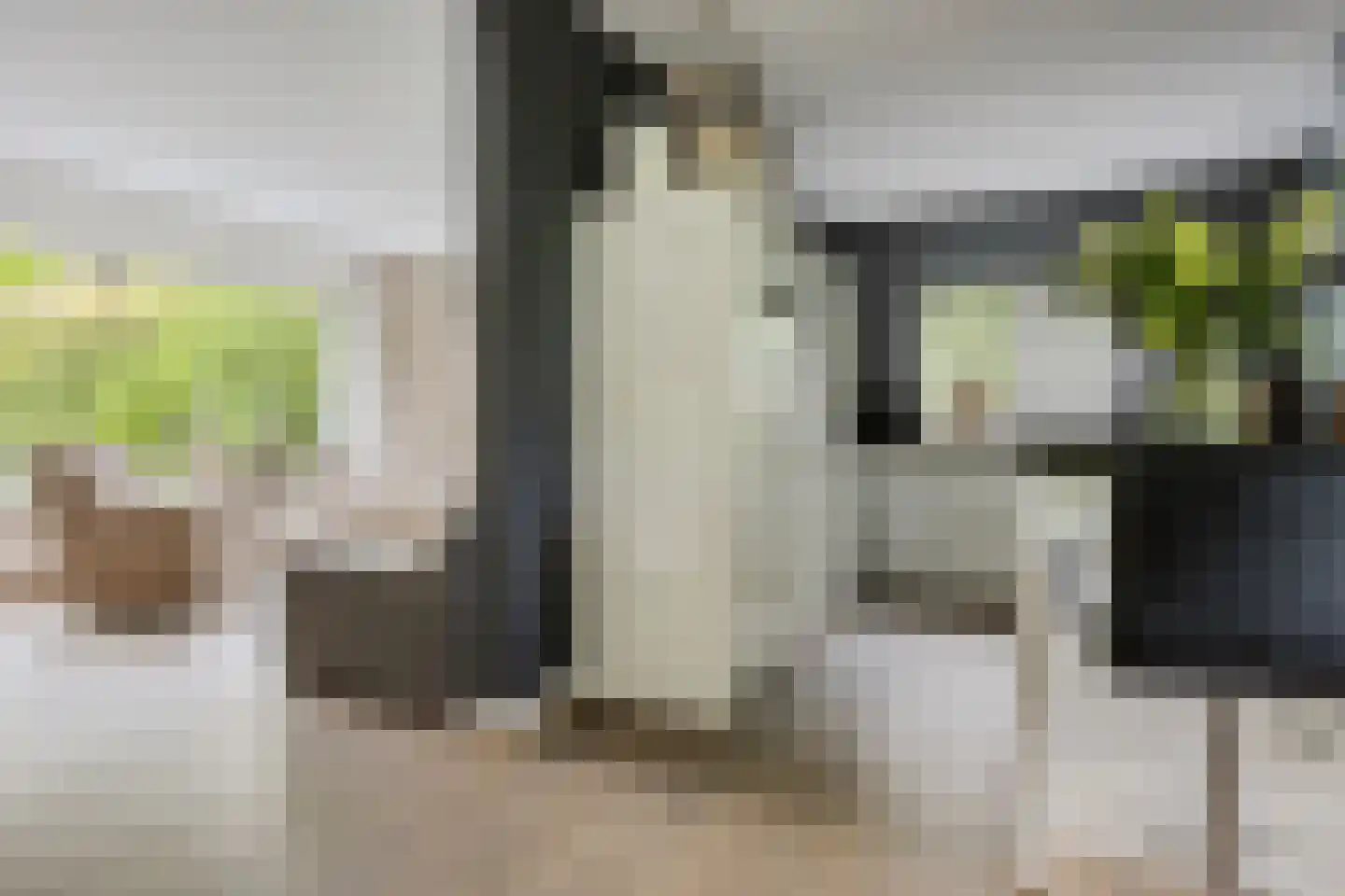 Hôf 15 Wirdum thumbnail 20