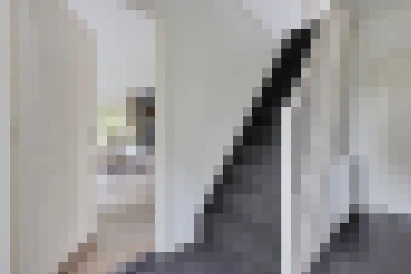 Hôf 15 Wirdum thumbnail 29