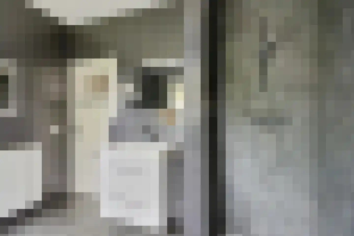 Hôf 15 Wirdum thumbnail 31