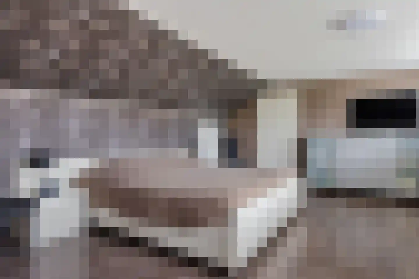 Hôf 15 Wirdum thumbnail 33