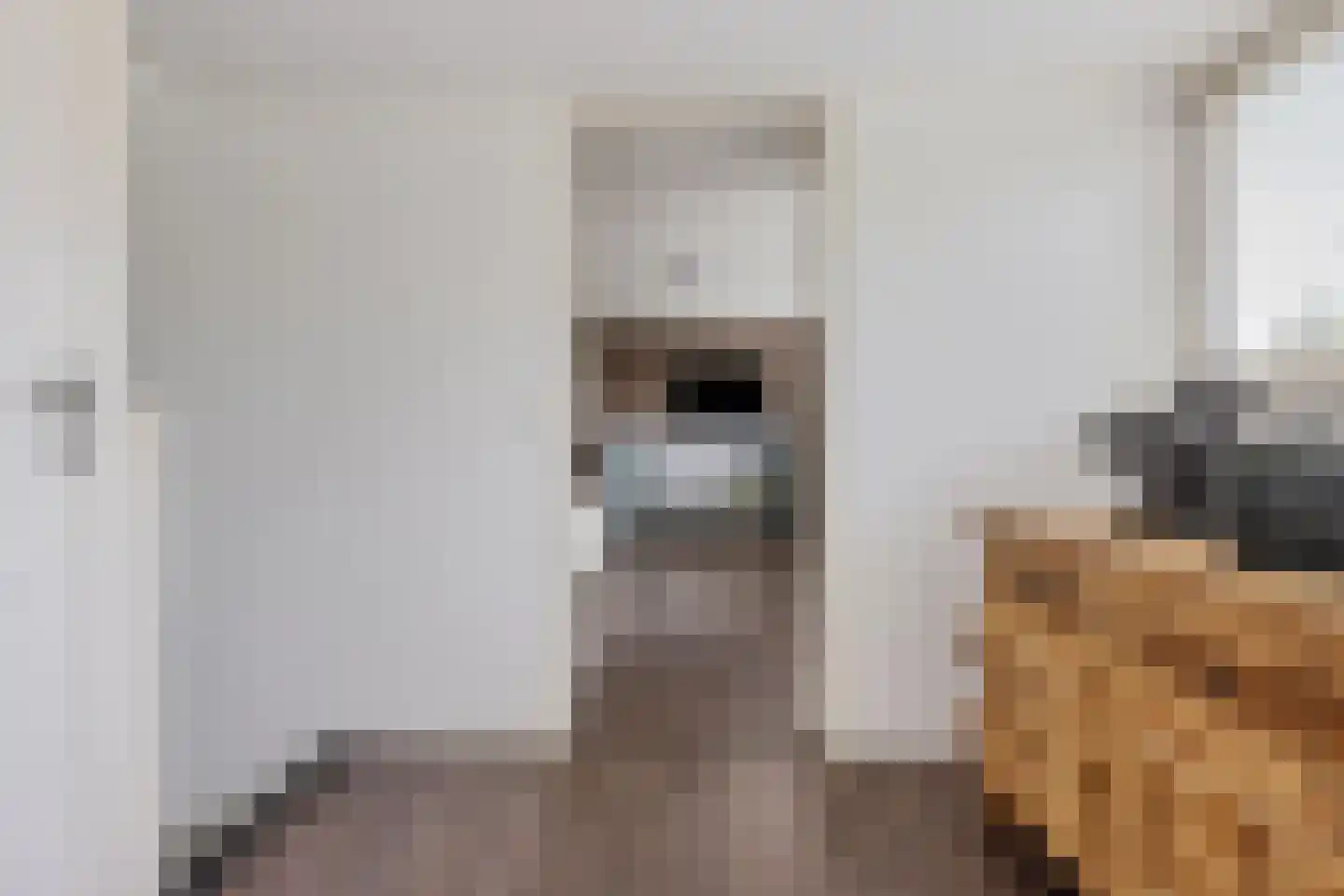 Hôf 15 Wirdum thumbnail 36