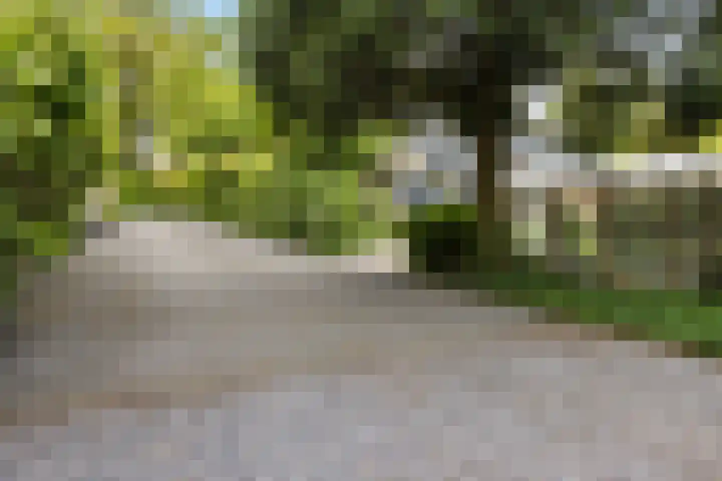 Hôf 15 Wirdum thumbnail 39