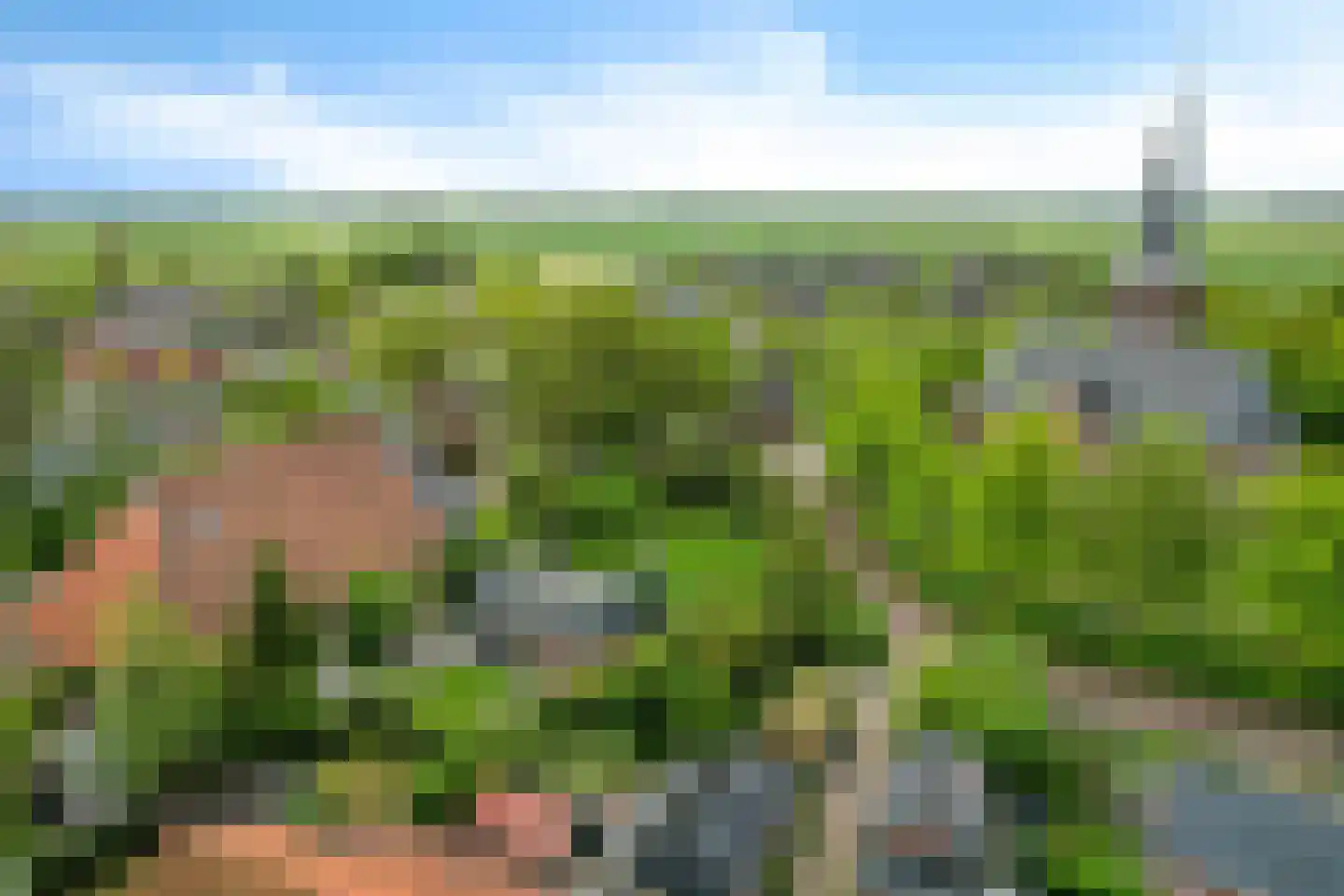 Hôf 15 Wirdum thumbnail 43