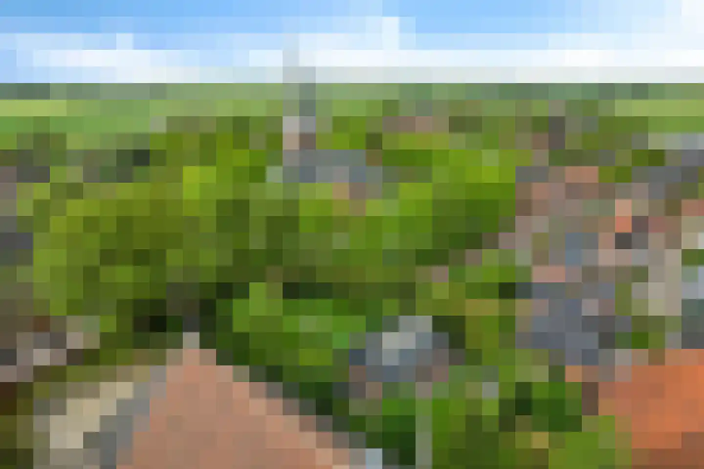 Hôf 15 Wirdum thumbnail 44