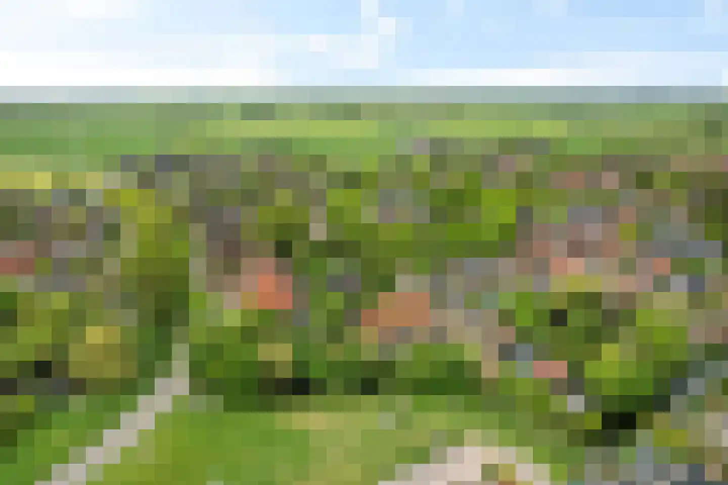 Hôf 15 Wirdum thumbnail 45