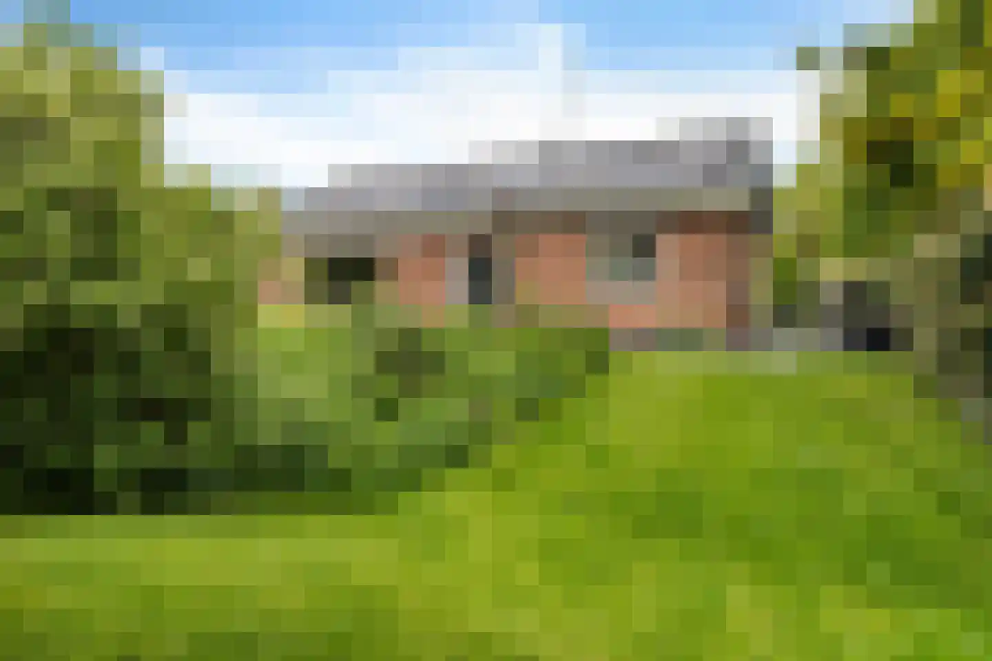 Hôf 15 Wirdum thumbnail 6