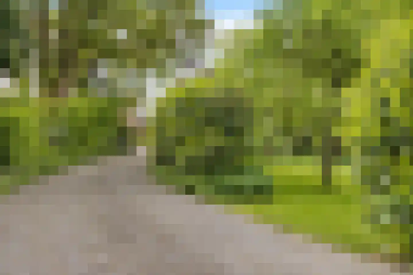 Hôf 15 Wirdum thumbnail 7