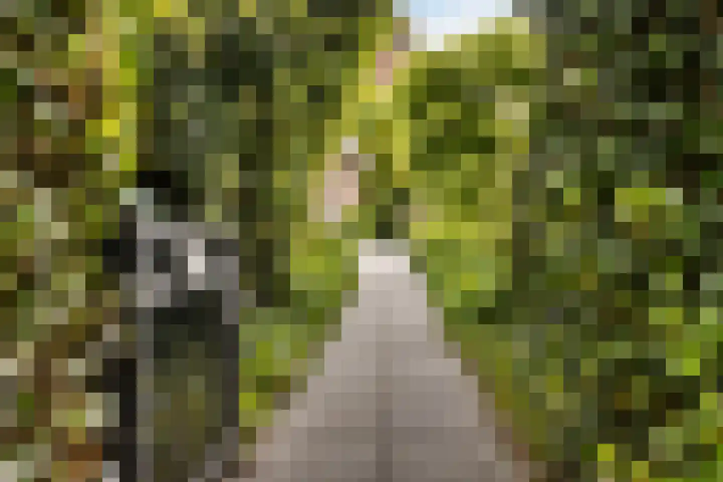 Hôf 15 Wirdum thumbnail 9