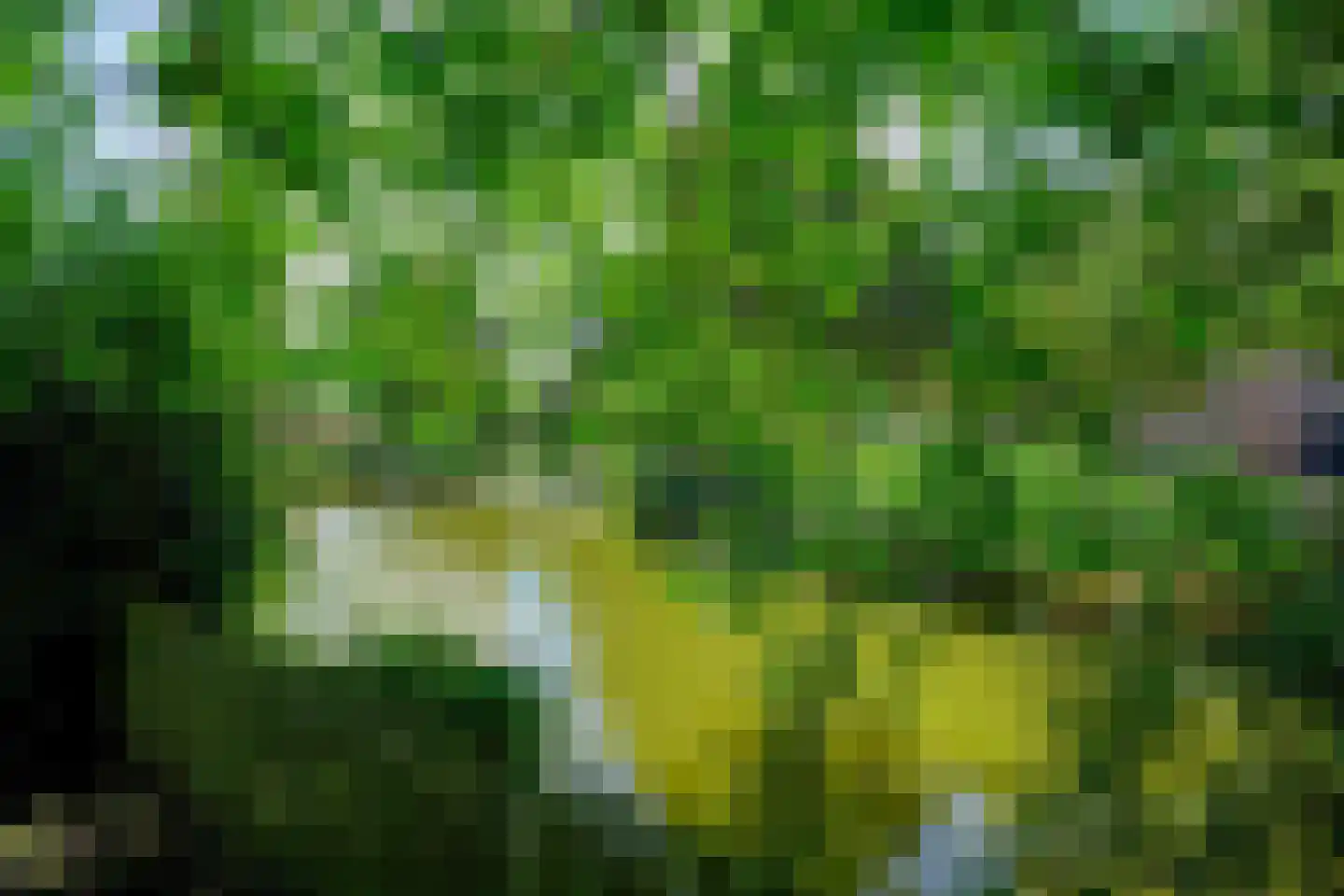 Hof 17 Midwoud thumbnail 37