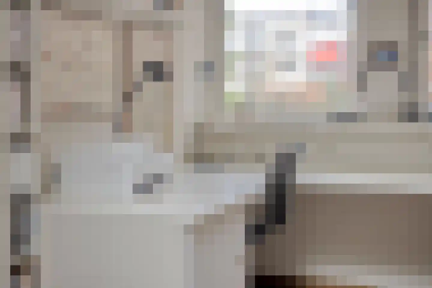 Hof 2 Bergeijk thumbnail 19