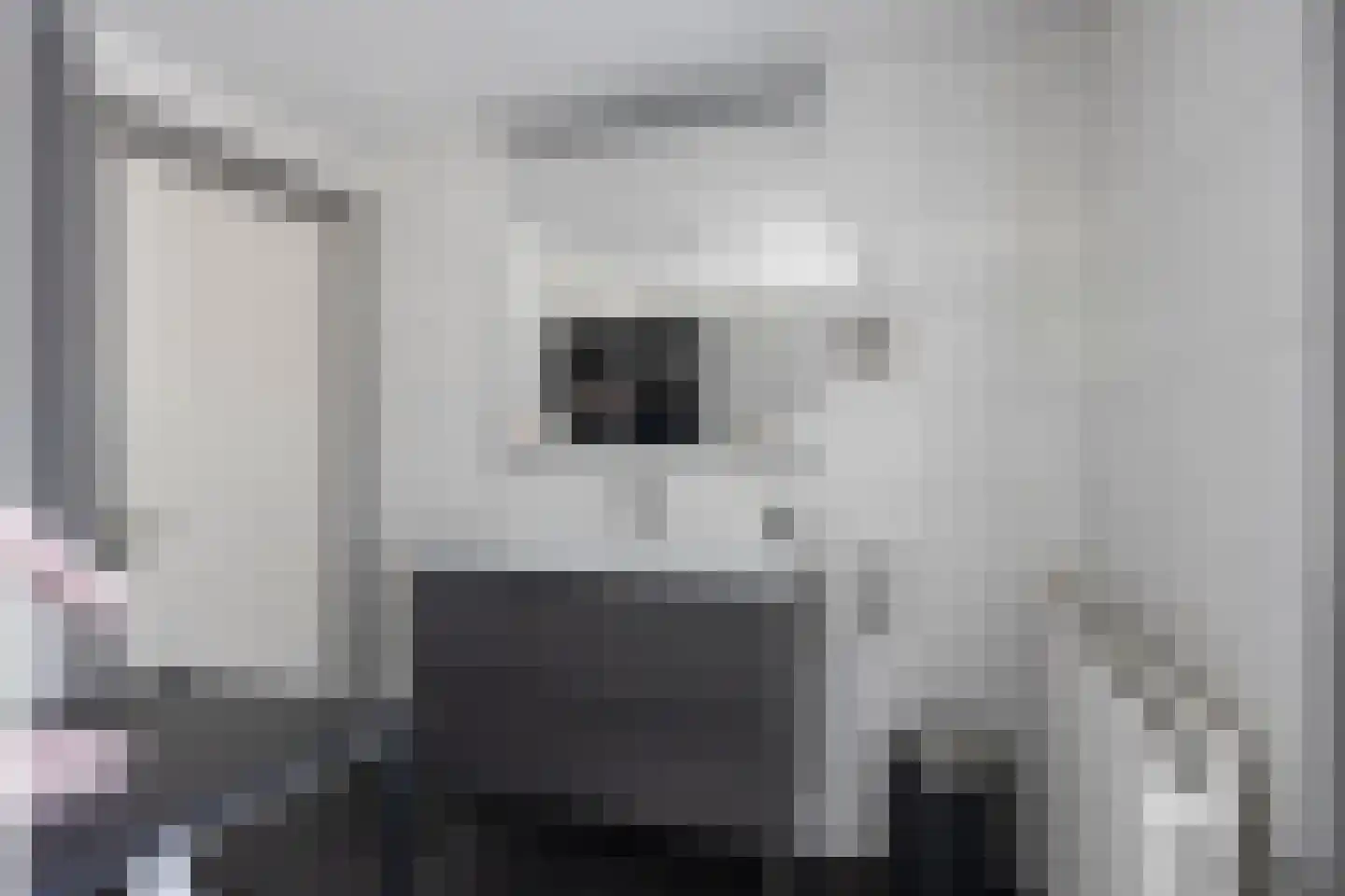 Hof 2 Bergeijk thumbnail 31