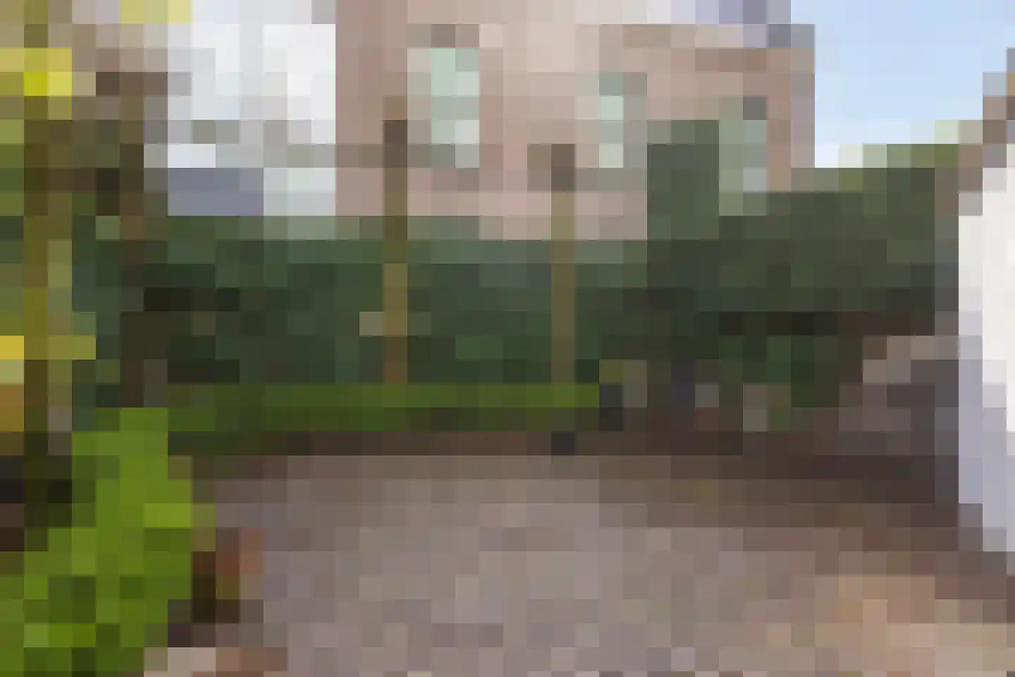 Hof 2 Bergeijk thumbnail 36
