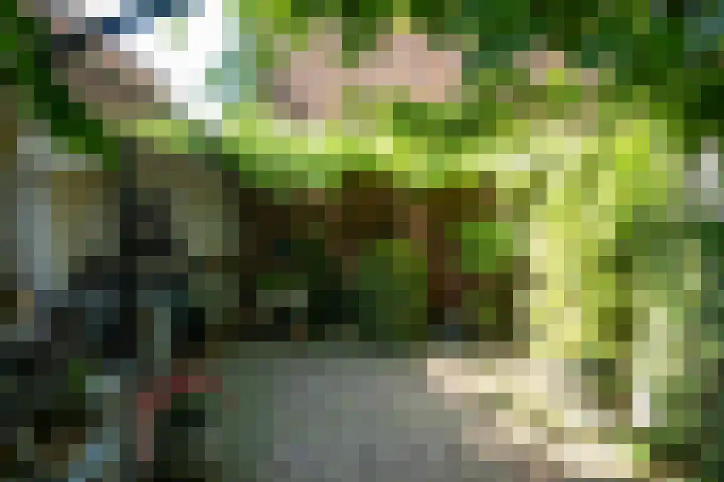 Hof 2 Bergeijk thumbnail 38