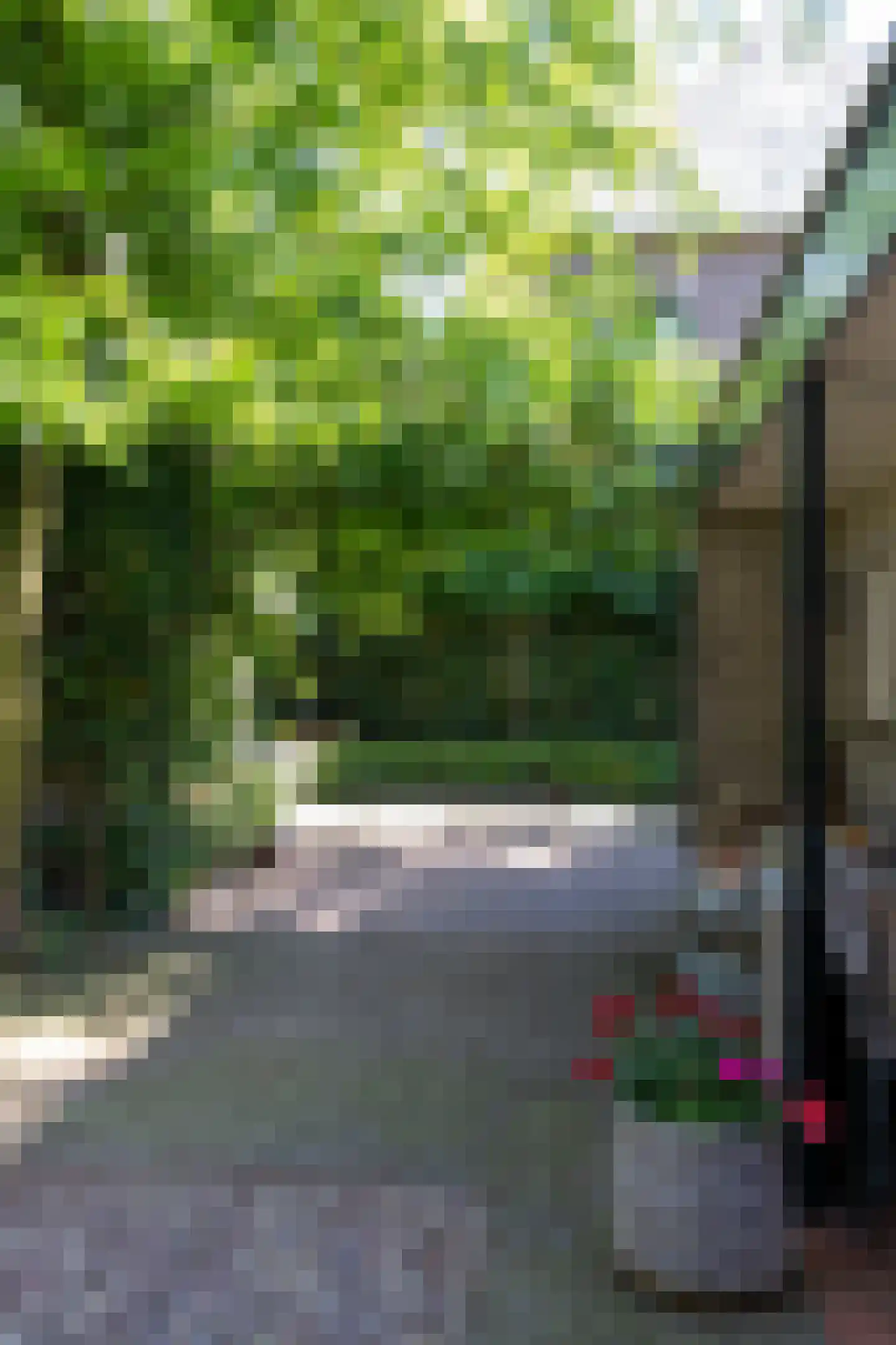 Hof 2 Bergeijk thumbnail 39