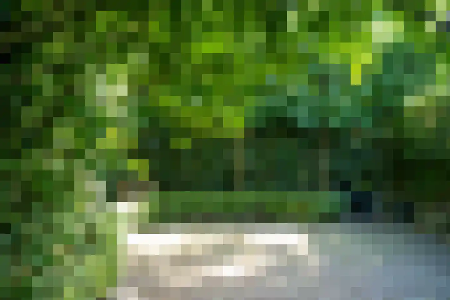 Hof 2 Bergeijk thumbnail 40