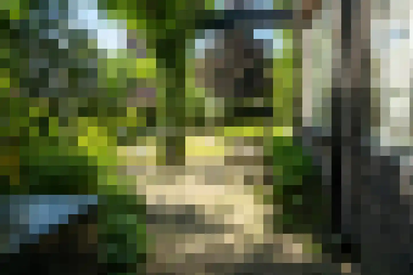Hof 2 Bergeijk thumbnail 41