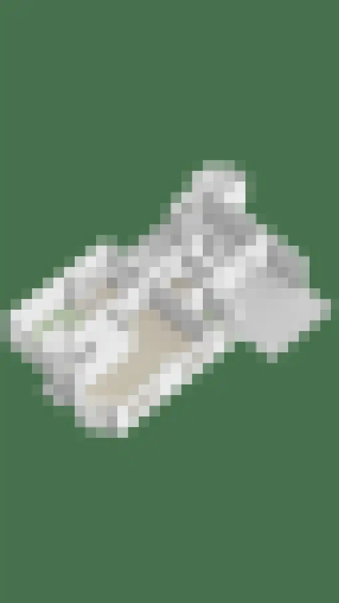 Hof 2 Bergeijk thumbnail 45