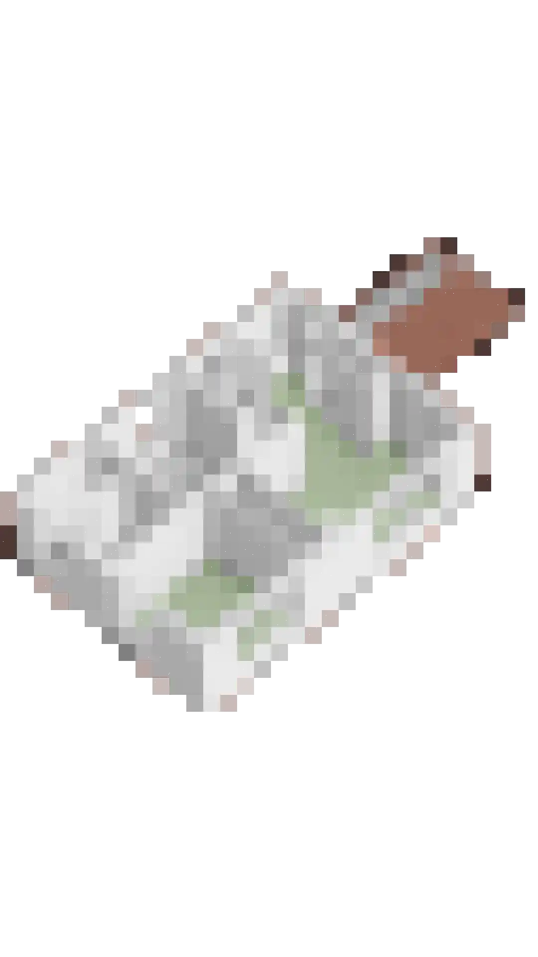 Hof 2 Bergeijk thumbnail 47