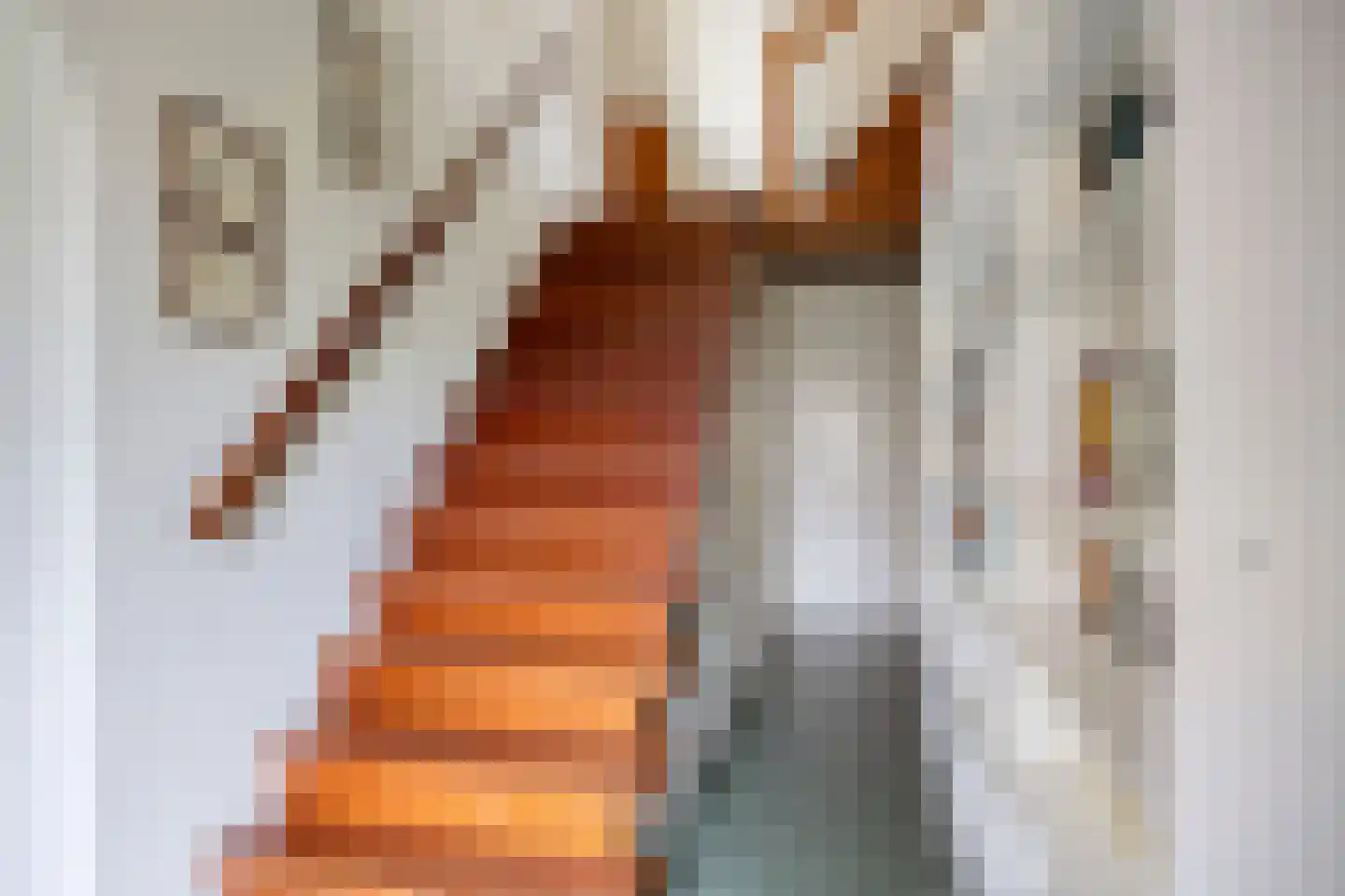 Hof 2 Bergeijk thumbnail 5