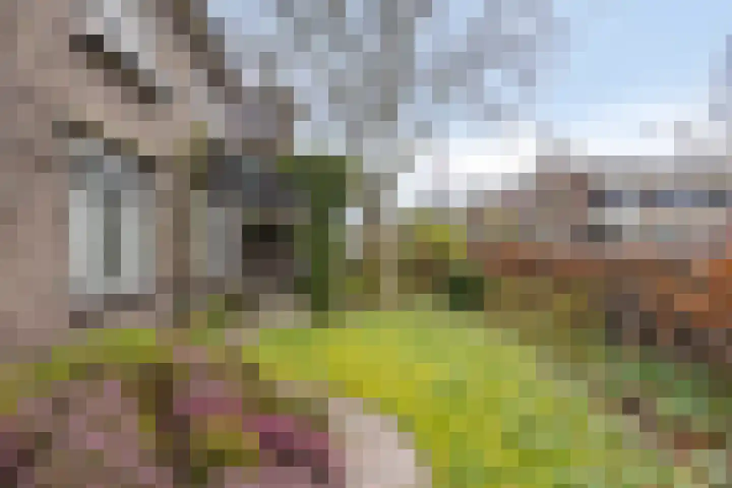 Hof 2 Bergeijk thumbnail 6