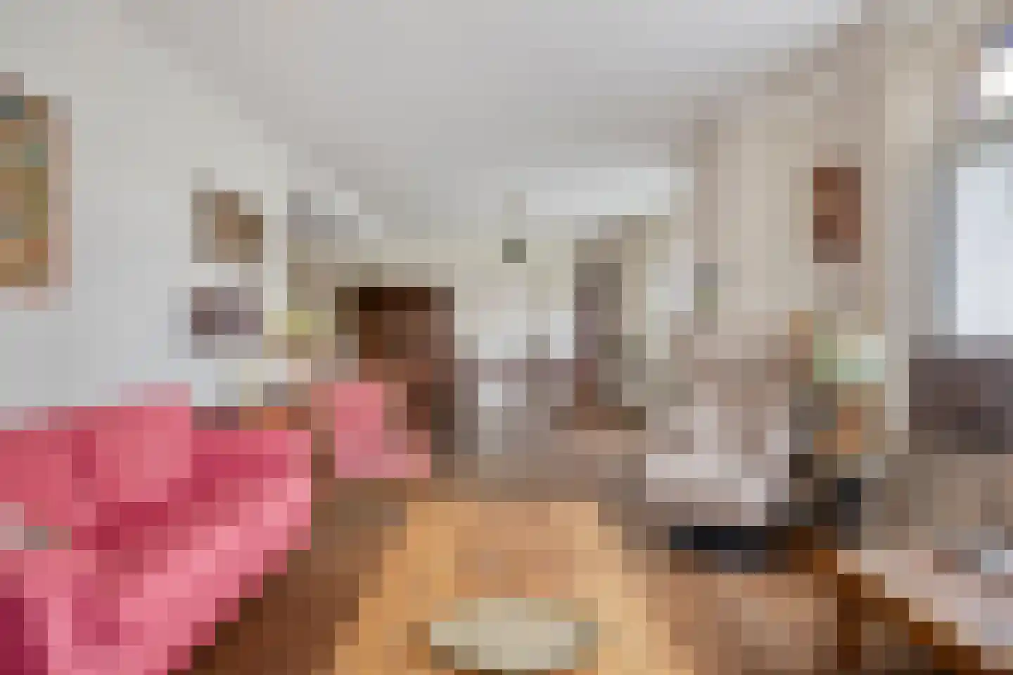 Hof 2 Bergeijk thumbnail 9
