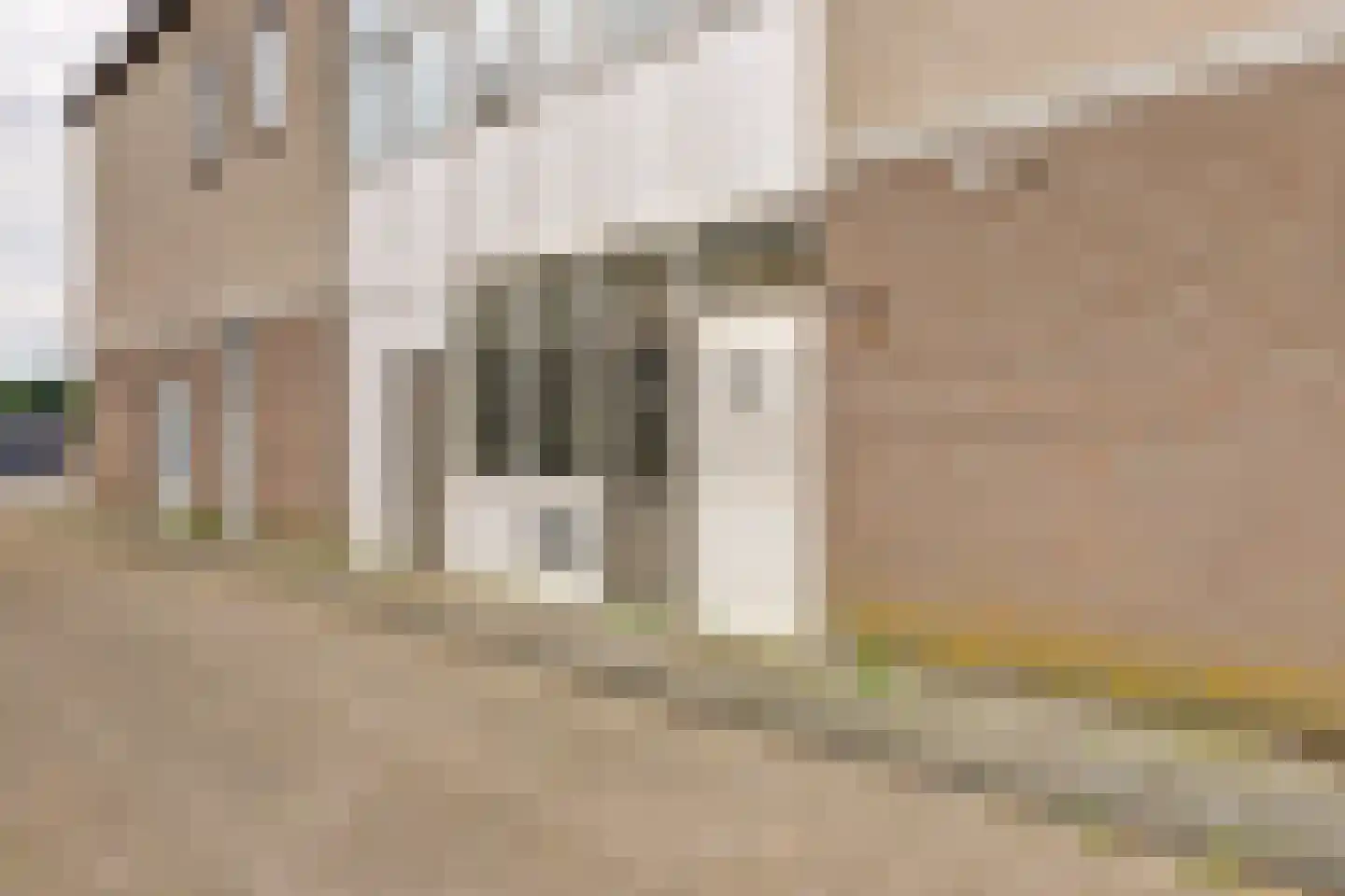 Hof 29 Dongen thumbnail 10