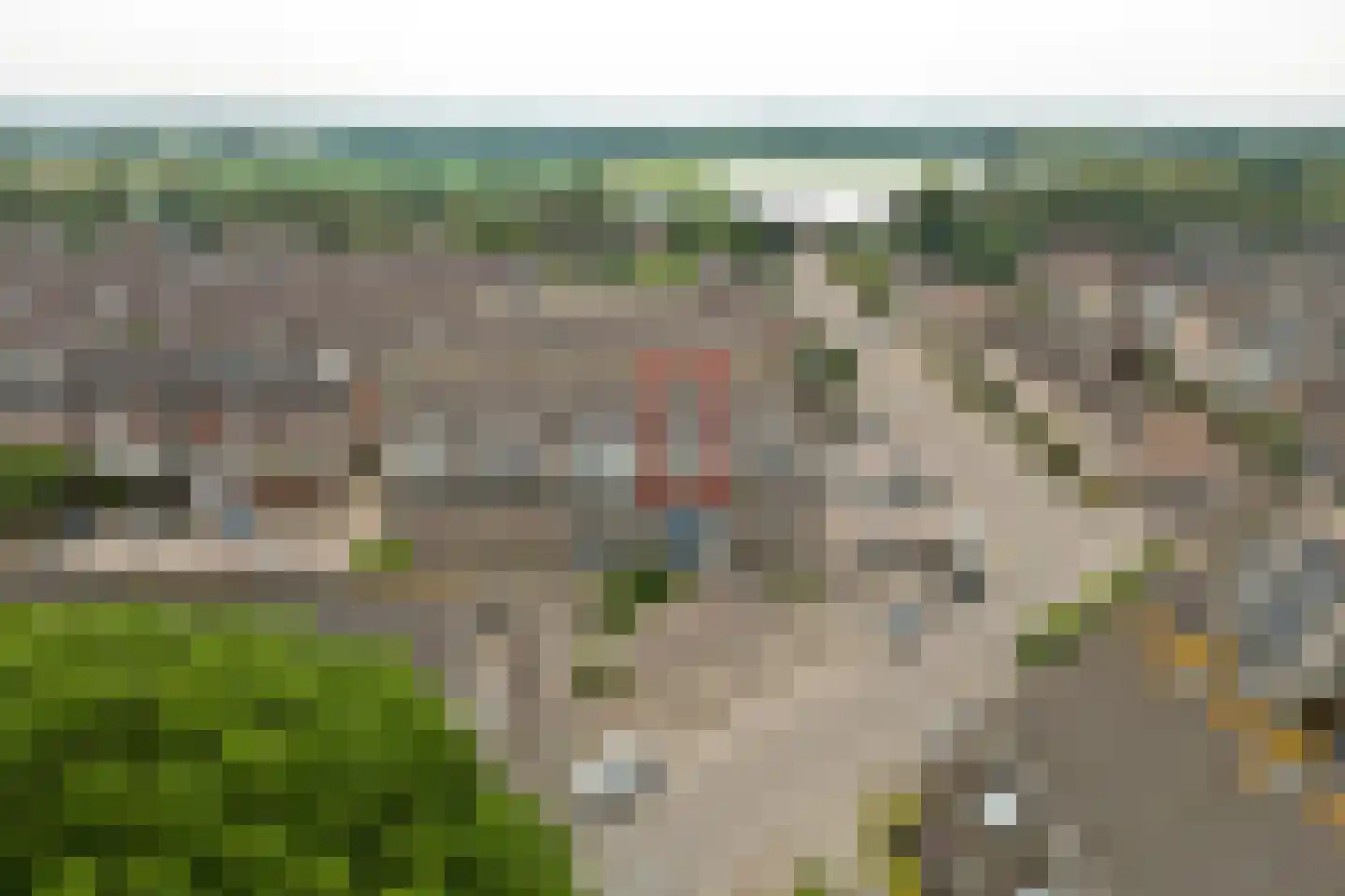 Hof 29 Dongen foto 2