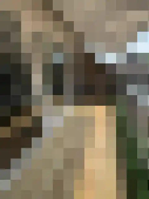 Hof 29 Dongen thumbnail 25