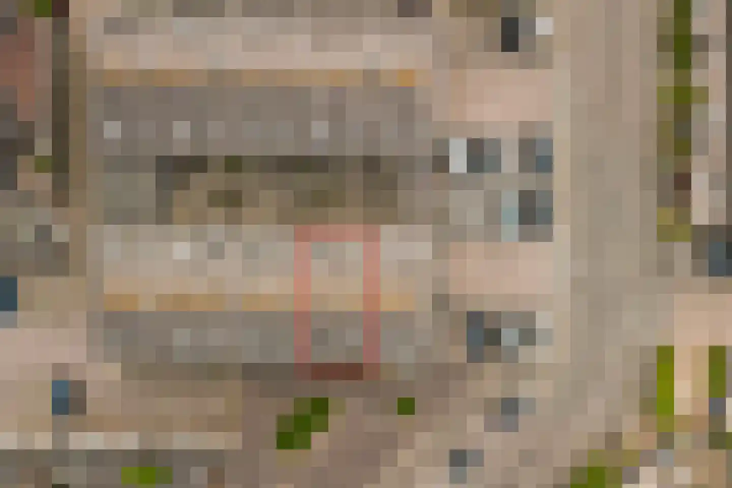 Hof 29 Dongen thumbnail 30