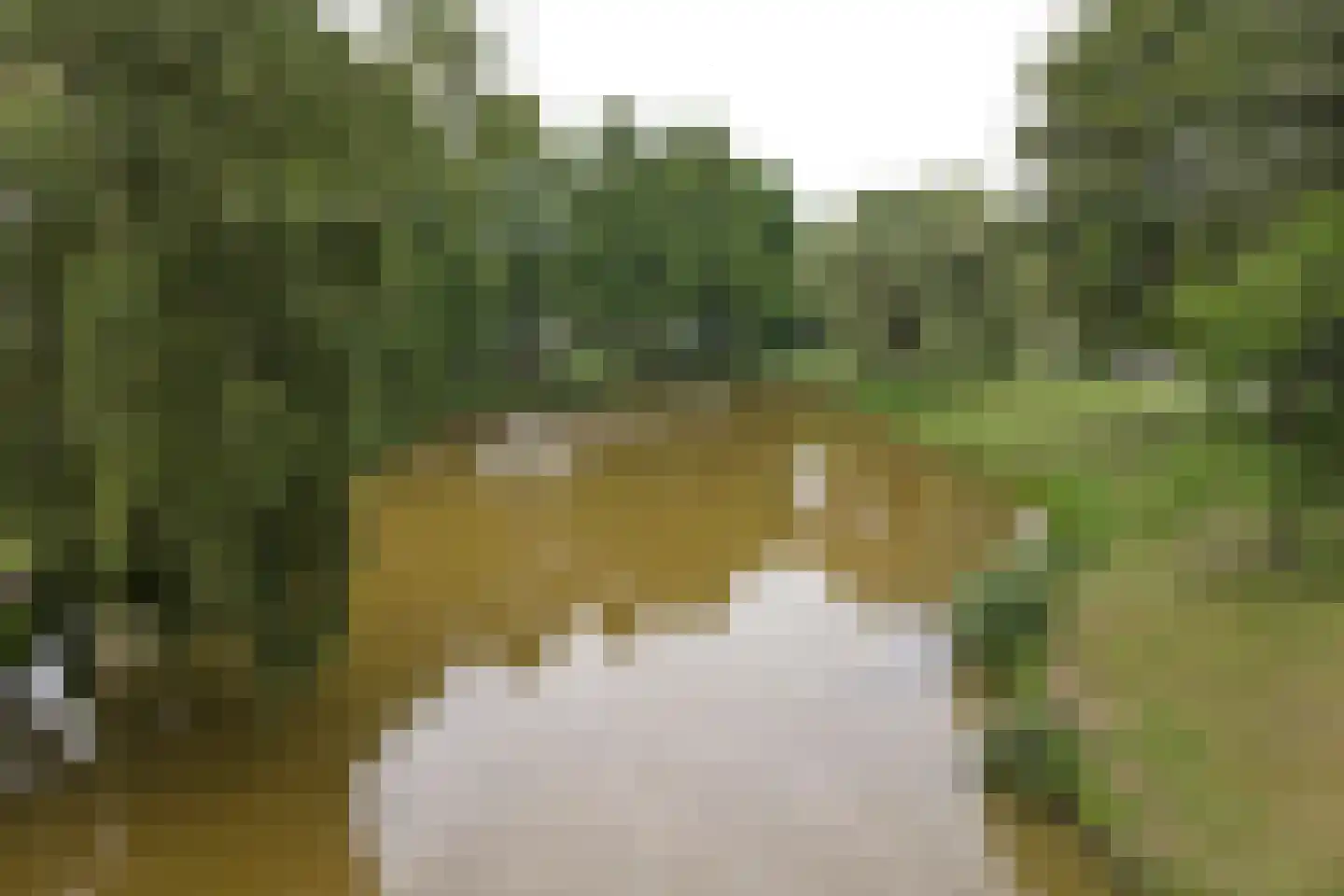 Hof 29 Dongen thumbnail 31