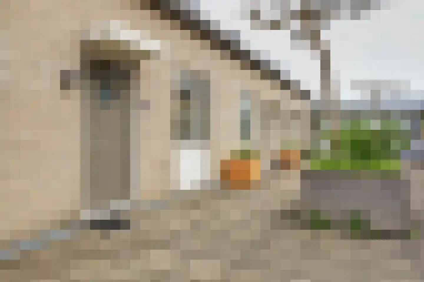 Hof 29 Dongen thumbnail 8