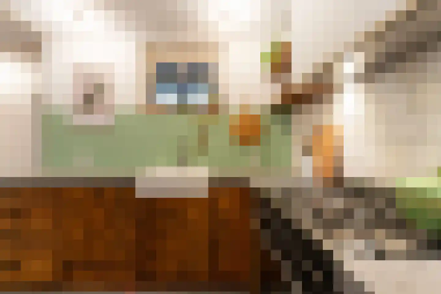 Hof 4 Dordrecht thumbnail 11