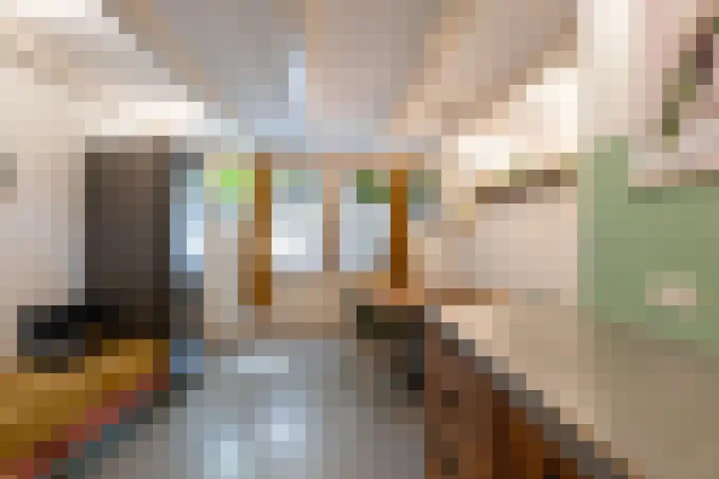 Hof 4 Dordrecht thumbnail 12