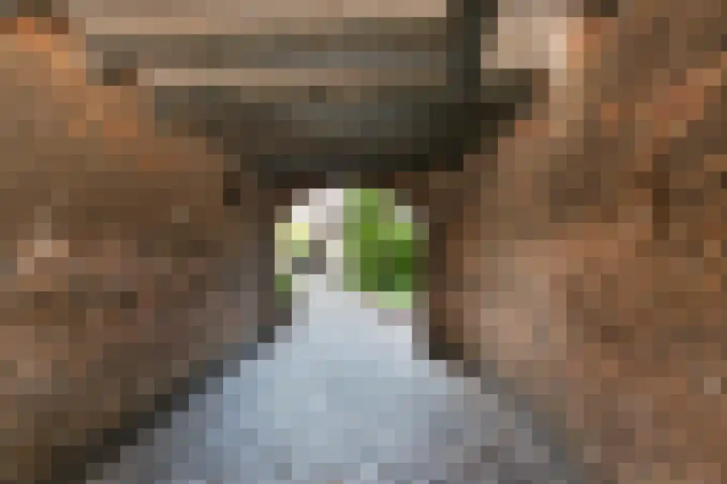 Hof 4 Dordrecht thumbnail 18