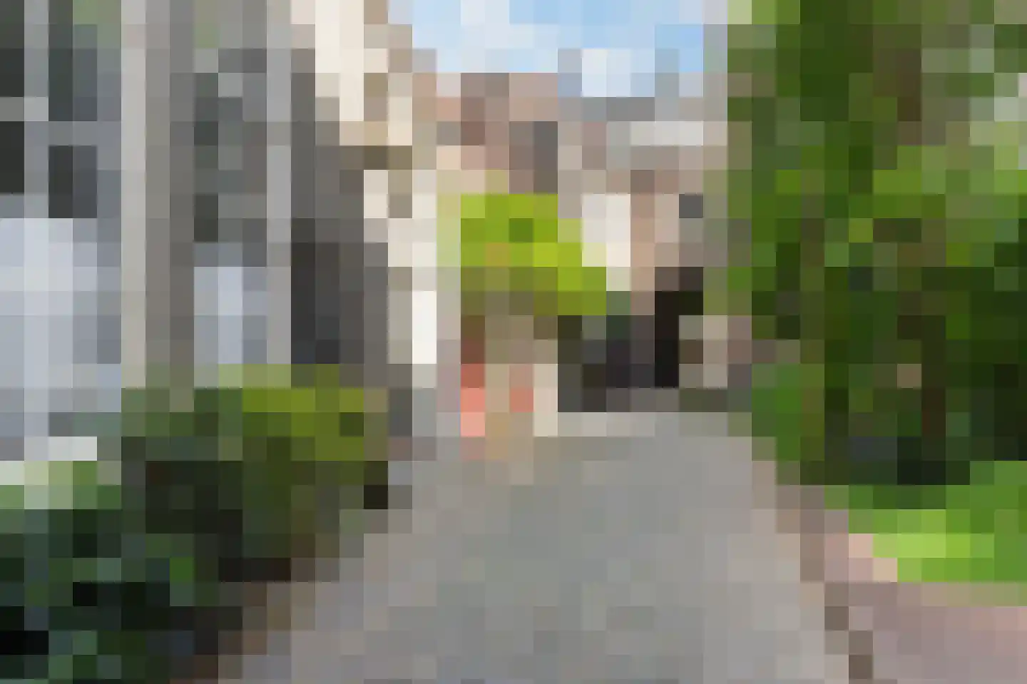 Hof 4 Dordrecht thumbnail 20