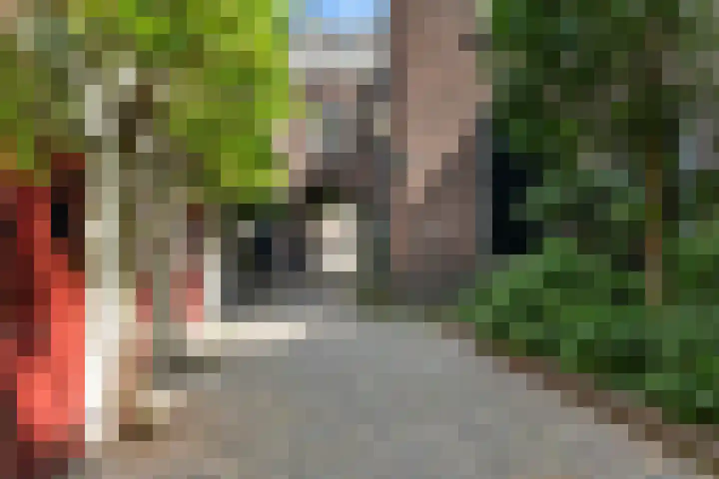 Hof 4 Dordrecht thumbnail 21