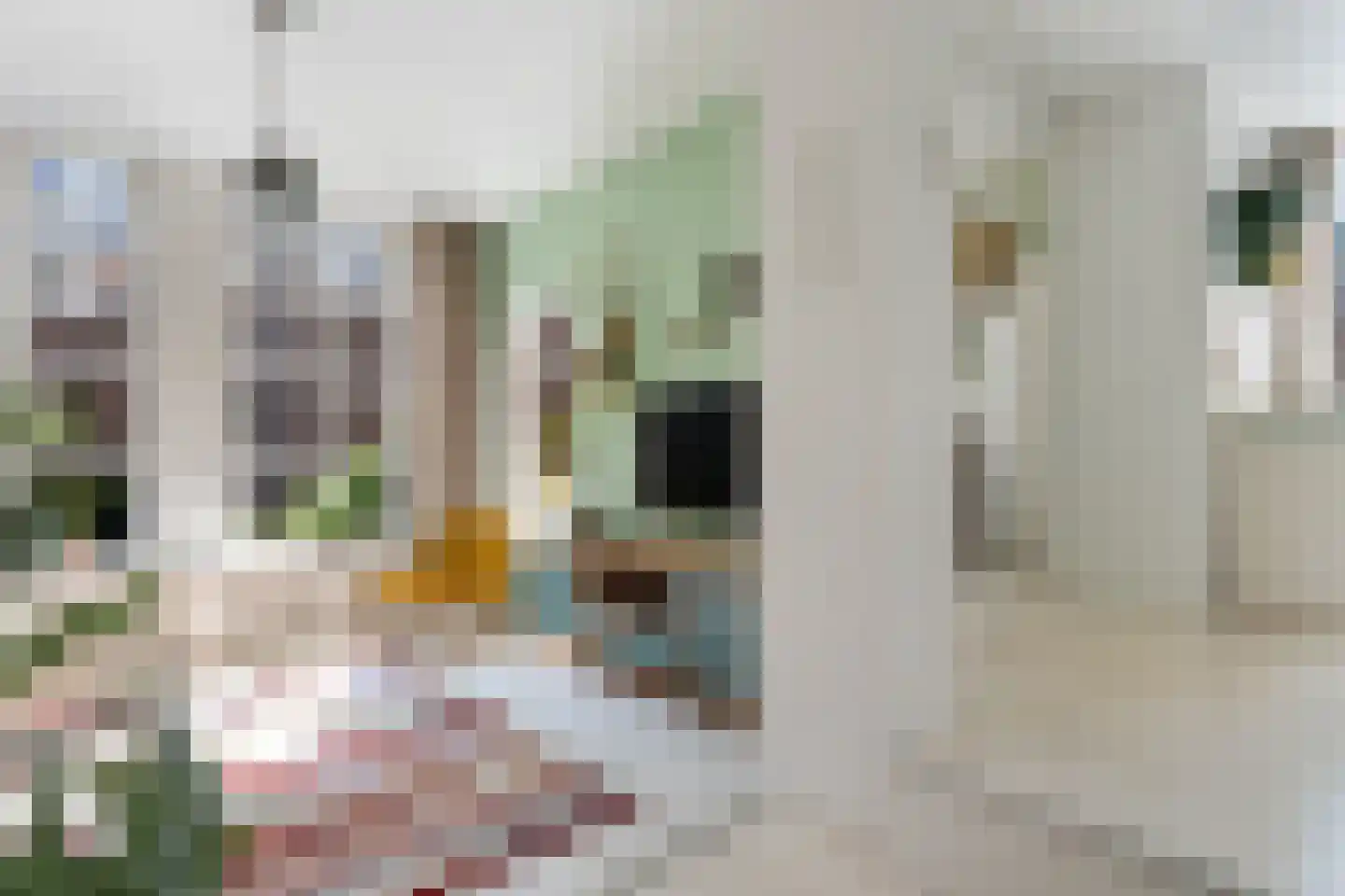 Hof 4 Dordrecht thumbnail 33