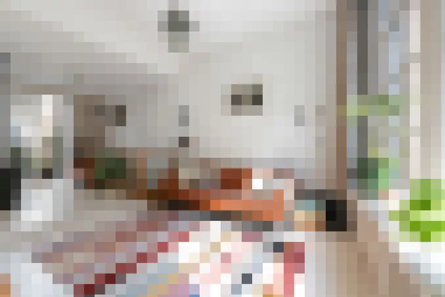 Hof 4 Dordrecht thumbnail 38