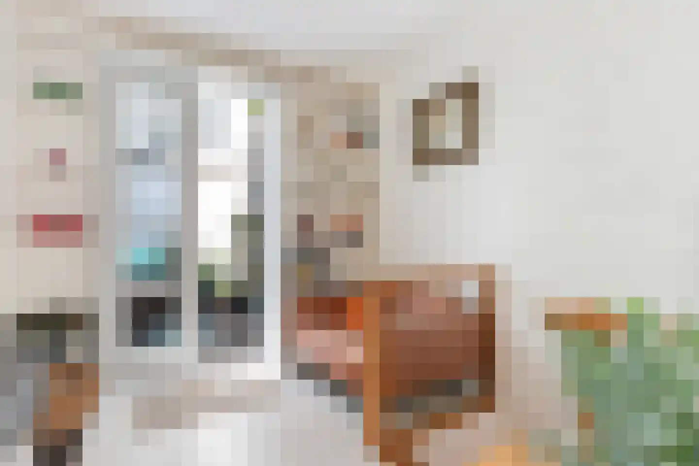 Hof 4 Dordrecht thumbnail 40