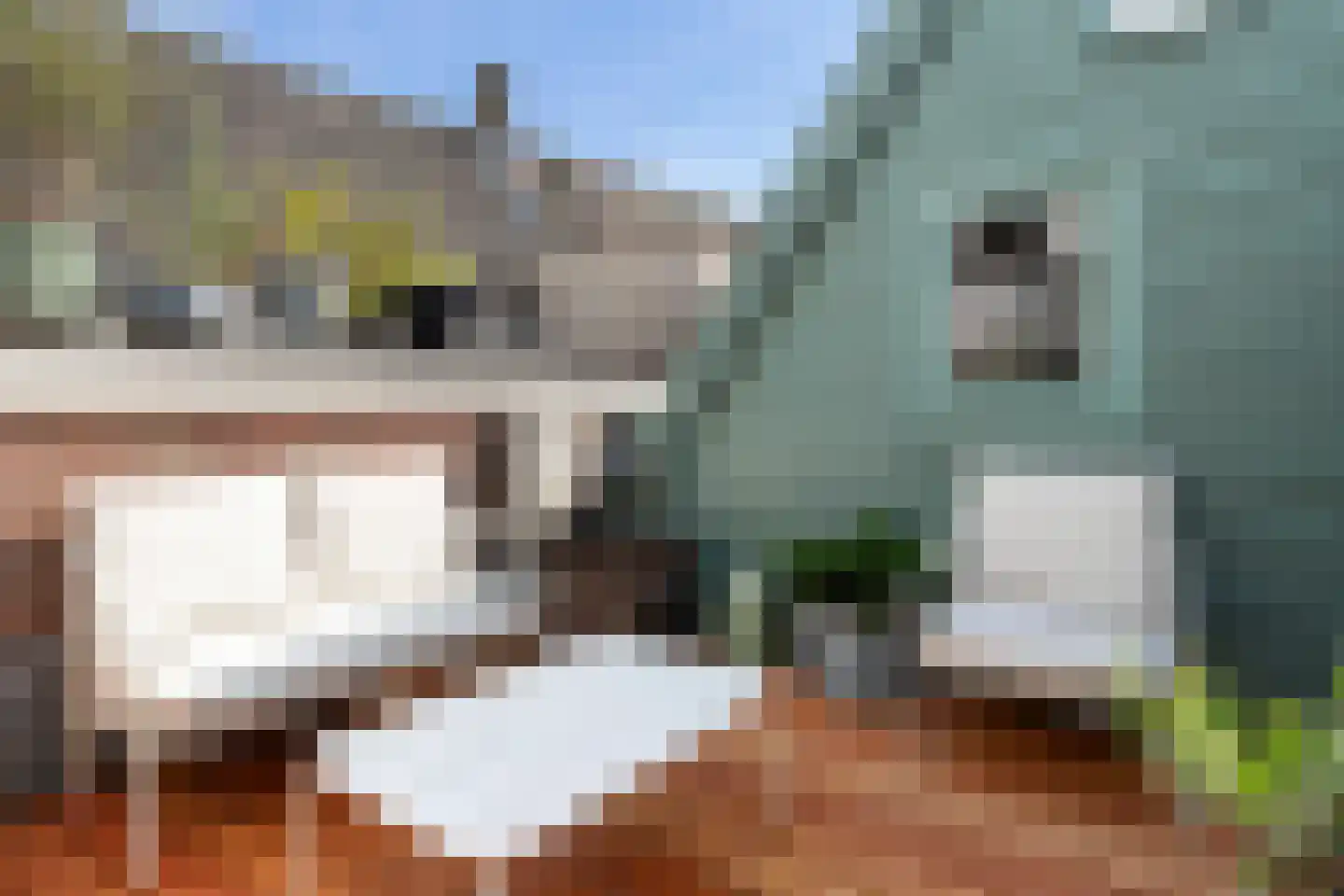 Hof 4 Dordrecht thumbnail 53