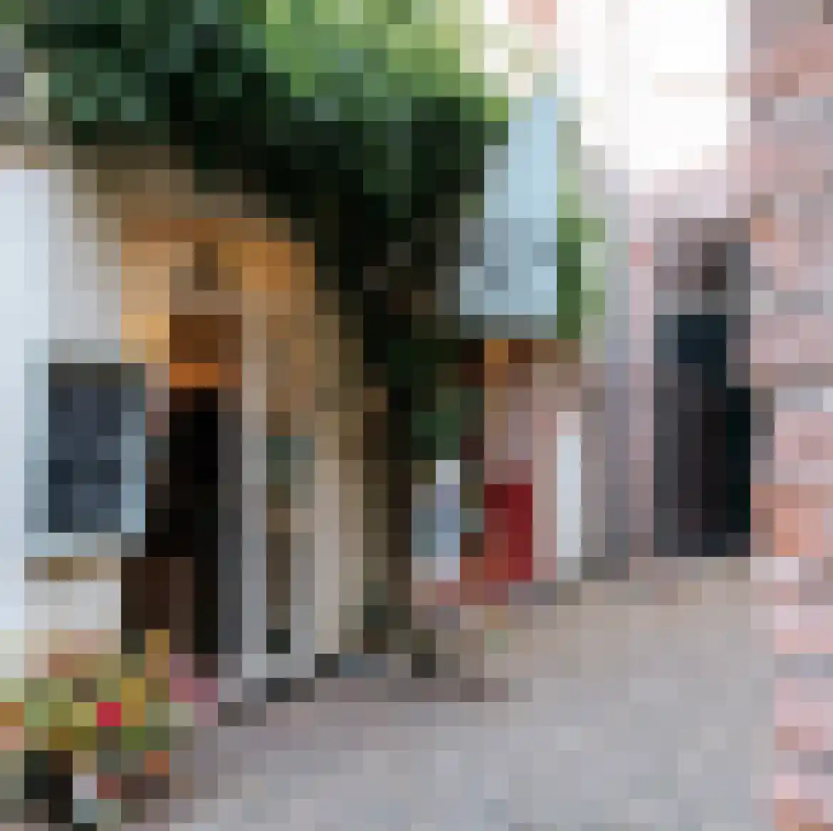 Hof 4 Dordrecht thumbnail 59
