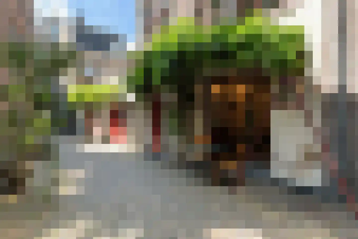 Hof 4 Dordrecht thumbnail 7