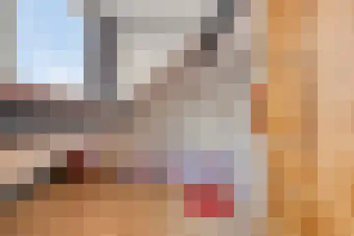 Hof 46 Dongen thumbnail 25